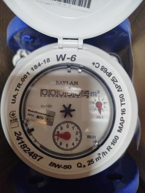 Лічильник холодної води Baylan Wolman-6 Ду 50 (клас С) baylan-w-6С фото