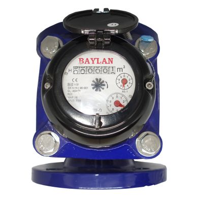 Счетчик холодной воды Baylan W Irrigation-6 Ду 50 baylan-w-6ir фото