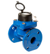 Лічильник води іригаційний Zenner WI-N-125 zenner-wpd-wi-zf-125 фото 3